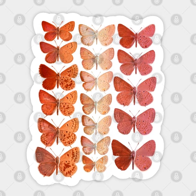 These Moths Are Lesbians Sticker by cobwebjr